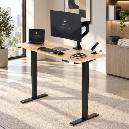 VIVO PRO 60" x 24" Dual Motor Electric Desk