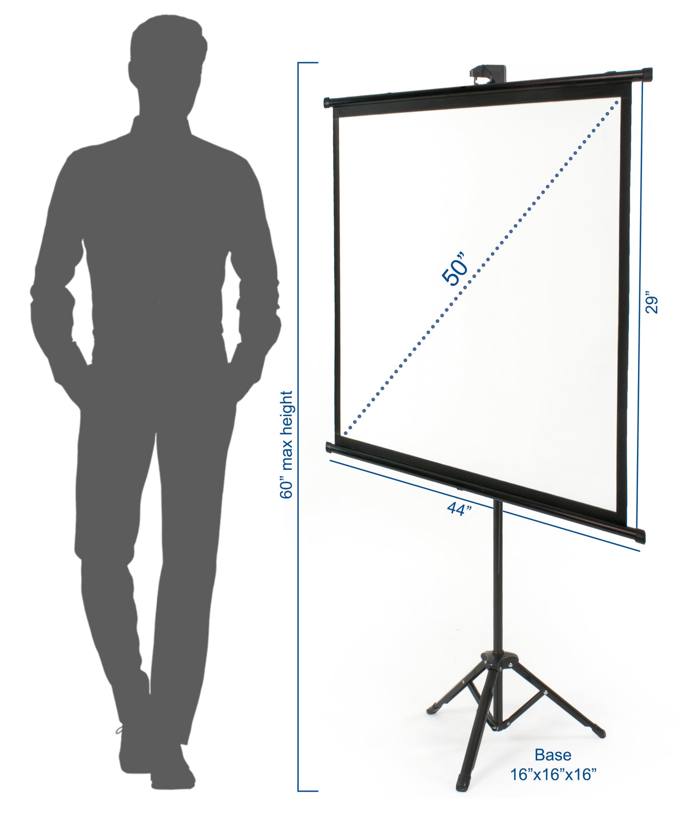 The height of a person compared to the height of the projector tripod screen for reference of size.
