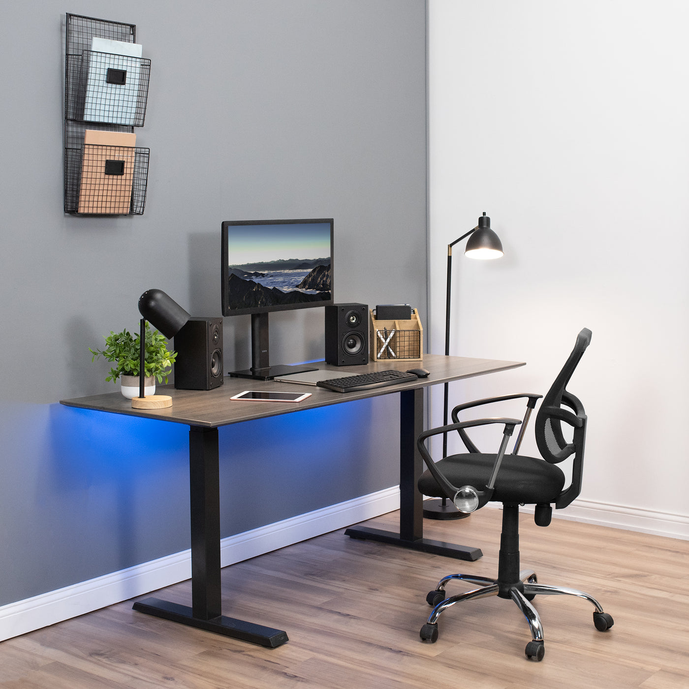 Single Monitor and TV Desk Stand